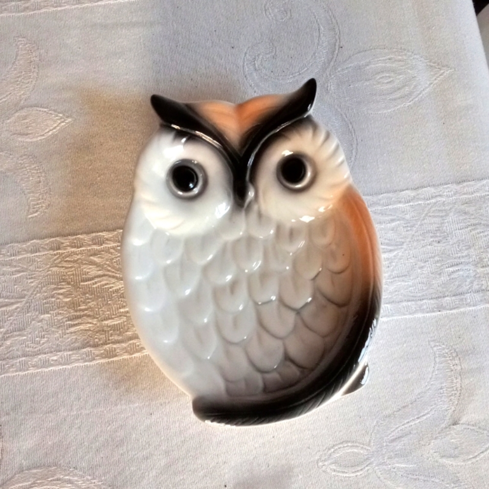 Ceramic Owl dish